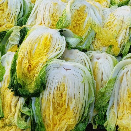 해썹 해남절임배추 아이스박스 포장 5/10/20kg - 19,900원